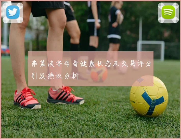 弗莱谈字母哥健康状态及交易评分引发热议分析