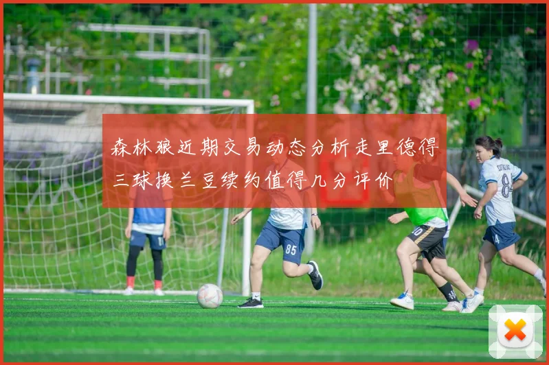 森林狼近期交易动态分析走里德得三球换兰豆续约值得几分评价